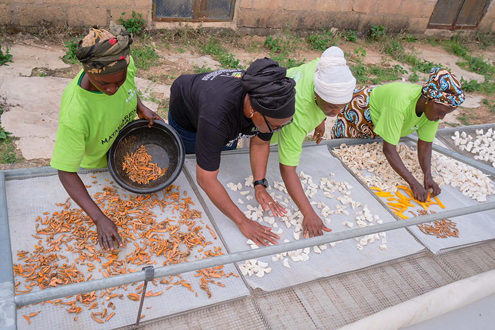 Sosai provides solar-powered dryers, mills, and refrigerators to a group that works to empower local women. Photo by Ashden 2026/08/sosai-story-kwoi-agro-group-sort.jpg